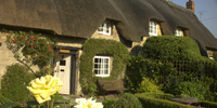 Thatched Holiday Cottage